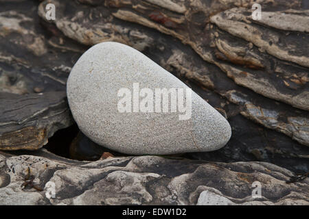 FELSFORMATIONEN sind ein Lieblingsfach in WESTON BEACH - POINT LOBOS STATE PARK, Kalifornien Stockfoto