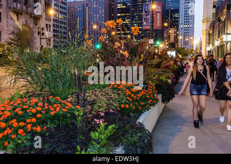 Chicago Illinois, North River, Michigan Avenue, Magnificent Mile, Abend, Abend, IL140907128 Stockfoto