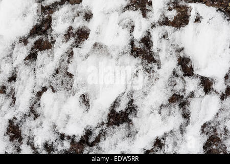 Gefrorenen Schnee Baum Rinde Hintergrund Stockfoto