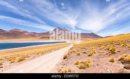 Laguna Miscanti, San Pedro de Atacama, Chile, Südamerika Stockfoto