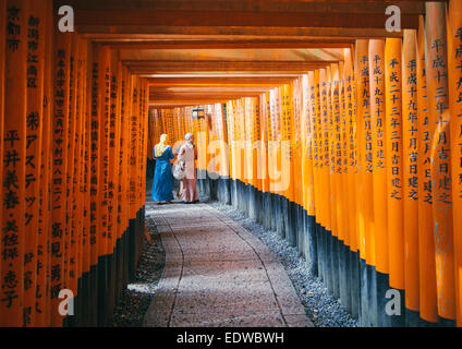 Licht, das durch den Fushimi Inari-Taisha-Schrein in Fushimi-Ku, Kyoto, Japan OLYMPUS Digitalkamera Stockfoto