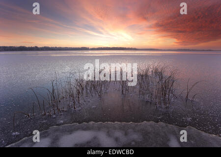 Gefrorene und frostig Saadjärv See im Winter bei Sonnenuntergang, Vooremaa Landschaftsschutzgebiet, Estland. Stockfoto