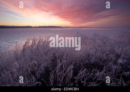 Gefrorene und frostig Saadjärv See im Winter bei Sonnenuntergang, Vooremaa Landschaftsschutzgebiet, Estland. Stockfoto