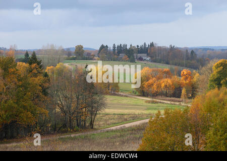 Herbstliche Aussicht auf Raigastvere Dorf und Drumlins in Vooremaa, Estland Stockfoto