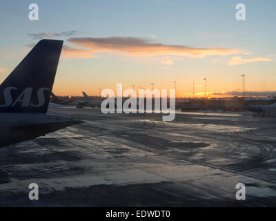 Sonnenaufgang oder Sonnenuntergang für SAS Airlines, Seitenleitwerk eines Flugzeugs in Oslo Flughafen Gardermoen in Norwegen früh Wintermorgen Stockfoto