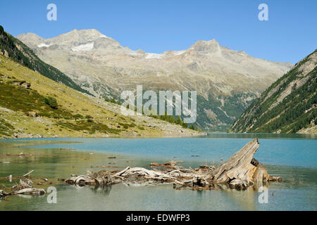 Triftwood am Schlegeis Stausee, im Hintergrund Olperer und Gefrorene Wand Gipfel, Zillertaler Alpen, Tirol, Österreich Stockfoto