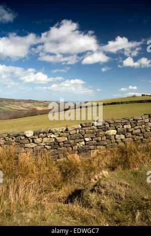 Großbritannien, England, Yorkshire, North Yorkshire Moors Moor Feld in der Nähe von Grosmont Stockfoto