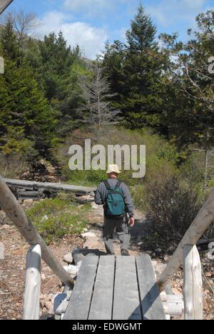Brücke in Acadia Nationalpark Maine - USA Stockfoto