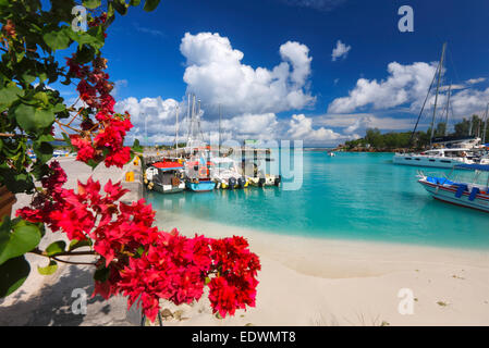 Boote im Hafen auf den Seychellen, Insel La Digue. Stockfoto