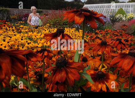 Die Gärten in West Dean College, West Sussex Stockfoto