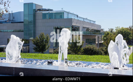Wasserspiel umrahmt das moderne Gebäude der Virginia Museum of Fine Arts VMFA in Richmond, Virginia Stockfoto
