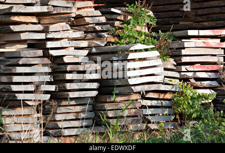 Haufen von Holzbrett Planken aus großen Baumstämmen gemacht Stockfoto