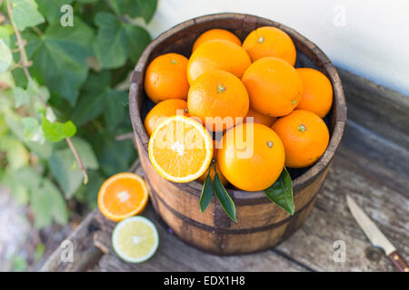 Eimer mit Orangen auf einer alten Holzbank gegen Efeu bedeckt weißen Wand Stockfoto