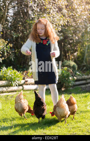 Ein kleines Mädchen in ihrem Garten, ihrer Hühner füttern. Stockfoto