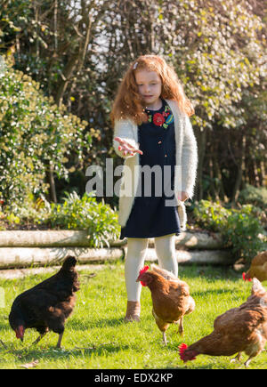 Ein kleines Mädchen in ihrem Garten, ihrer Hühner füttern. Stockfoto