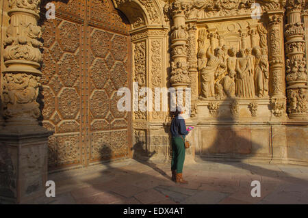 Astorga, Dom, Via De La Plata, Ruta De La Plata, Provinz Leon, Castilla y Leon, Camino de Santiago, Way of St. James Stockfoto