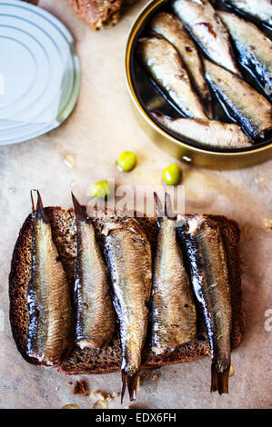 Sandwich mit Sprotten auf einem Tisch mit einer Dose Sprotten Stockfoto