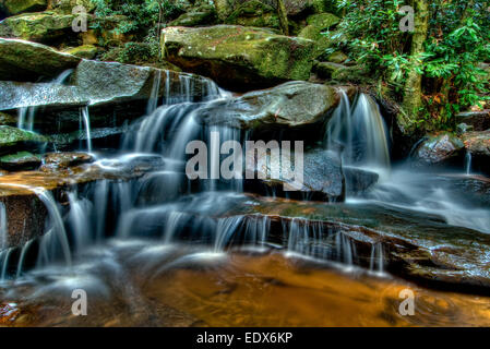 Lower Somersby Falls, Central Coast, New-South.Wales Stockfoto