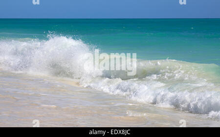 Lebhafte karibische Meer. Playa Los Cocos. Cayo Largo. Kuba. Stockfoto