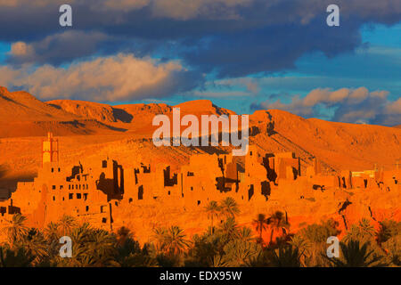 Tineghir, Tingħi, Tinghir, Todra-Tal, Todra Schluchten, Oase, Landschaft, alte Kasbah, Marokko, Nordafrika Stockfoto