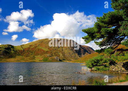 Blick über Mellbreak fiel, Crummock Wasser, Nationalpark Lake District, Cumbria, England, UK Stockfoto