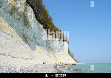 SASSNITZ, MECKLENBURG-VORPOMMERN / Deutschland 19. April 2014: Gruppe von Menschen auf der Suche nach Fossilien in Kreidefelsen von Rügen Cliff ist Stockfoto