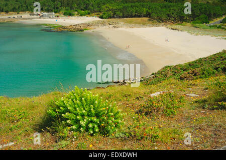 Balares Strand. Ponteceso, Galizien, Spanien Stockfoto