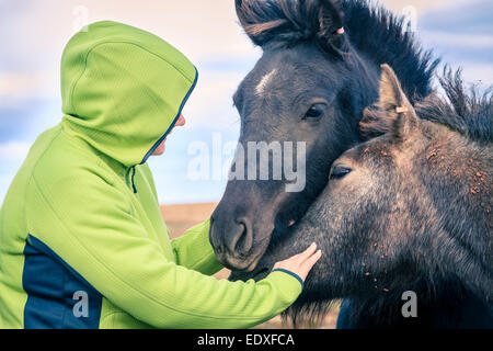 Frau mit Island Ponys auf dem Island-Land Stockfoto