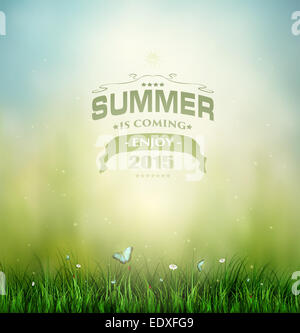 Sommer Hintergrund mit Rasen, Blumen und Schmetterlinge und Titel Inschrift Stockfoto