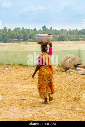 THANJAVOUR, Indien - Februar 13: Eine unbekannte indische Frau in Tracht trägt auf seinem Kopf Becken.  Indien, Tamil Nadu, Stockfoto