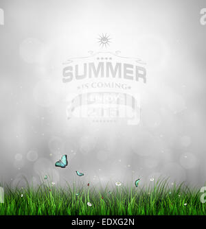 Sommer Hintergrund mit Rasen, Blumen und Schmetterlinge und Titel Inschrift Stockfoto