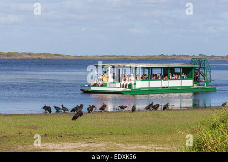Airboot Tour Fahrgastschiff im oberen Myakka See im Myakka River State Park in Sarasota Florida Stockfoto