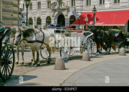 Linie der traditionellen Pferd gezogenen Kutschen in Wien, die nur darauf warten für Kunden Stockfoto