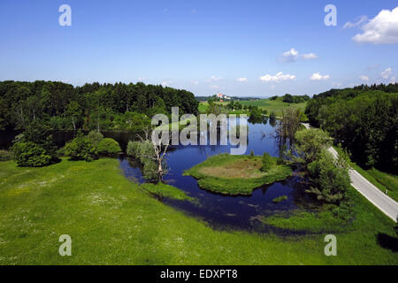 Seachtnmoor, Abgestorbene Bäume in Einem Moor, Andechs, Oberbayern, Bayern, Deutschland, Europa, Moor, tote Bäume in den Sumpf Stockfoto