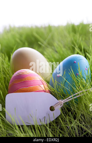 Drei bunte Ostereier auf grünem Gras für Ostern oder Seasons Greetings Eiern Pink und Orange mit leeren Etiketten für textfreiraum O Stockfoto