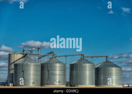 Korn-Lagerplätze in Zentral-Illinois landwirtschaftliche Region. Stockfoto