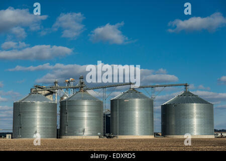 Korn-Lagerplätze in Zentral-Illinois landwirtschaftliche Region. Stockfoto