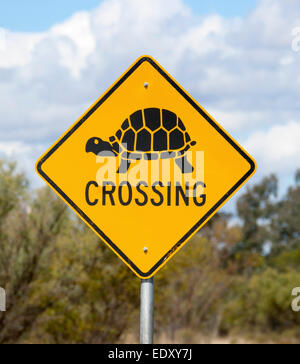 Ungewöhnliche Straße Outback Australien, gelbes Schild mit schwarzer Schrift & Bild der Schildkröte anmelden / Schildkröte überquert haben, gegen blauen Himmel Stockfoto