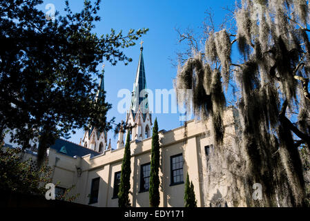 Savannah Georgia, die Kathedrale St. Johannes des Täufers Stockfoto