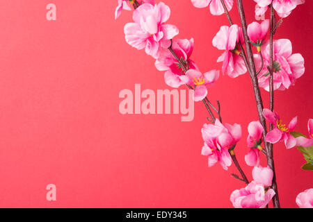 Rosa Pflaume Blüte Iaolated auf rotem Grund. Stockfoto