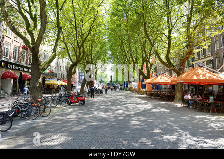 Von Bäumen gesäumten Straße, Thorbeckeplein, Amsterdam, Noord-Holland, Niederlande, Europa Stockfoto
