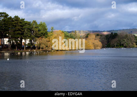 Roath Park See, Cardiff, Südwales, UK. Stockfoto