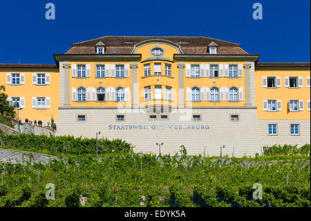 Staatliches Weingut Meersburg, Meersburg, Bayern, Deutschland Stockfoto