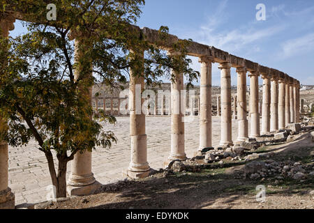 Spalten, ovale Forum, alte römische Stadt von Jerash, Bestandteil der Dekapolis, Jerash, Jerash Governorate, Jordanien Stockfoto