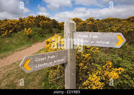 Großbritannien, Wales, Swansea, Gower, Penmaen Burrows Küste Weg Zeichen Stockfoto