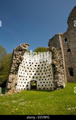 Großbritannien, Wales, Swansea, Gower, Oxwich Burg, Taubenschlag Ruinen Stockfoto