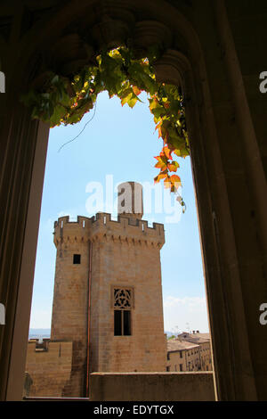 Palacio de Los Reyes de Navarra de Olite ("Palast der Könige von Navarra von Olite") oder Castillo de Olite ("Burg von Olite") Stockfoto