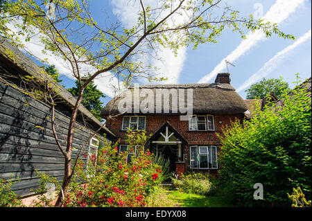 Reetdachhaus in Burley Dorf im New Forest Stockfoto