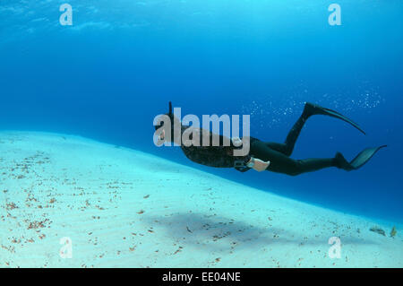 Freediver schwimmt über sandigem Untergrund, Rotes Meer, Ägypten Stockfoto