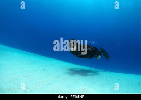 Freediver schwimmt über sandigem Untergrund, Rotes Meer, Ägypten Stockfoto